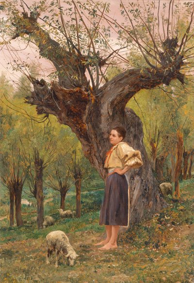  by Carl Rudolf Huber