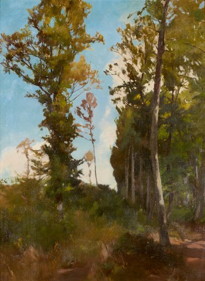 Purkersdorf yakınlarındaki orman temizliği by Carl Schuch