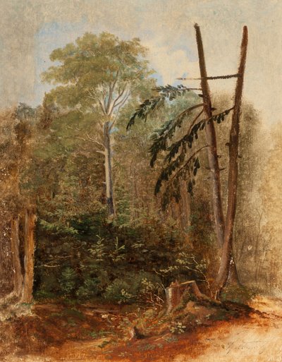 Bir orman manzarasının incelenmesi by Carl Spitzweg