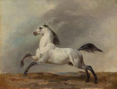 Soldaki gri aygır by Carl Steffeck