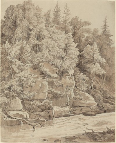 Bir Dere Boyunca Ormanlık Kayalıklar by Carl Wagner
