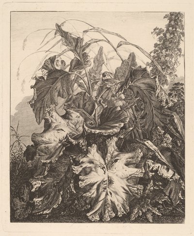 Sazlık ile Yeşillik by Carl Wilhelm Kolbe