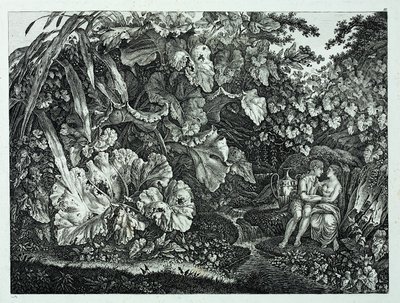 Almanca: Mağaradaki Aşıklar, Bitkiler ve Otlarla Çevrili Mağaradaki Aşıklar, Bitkiler ve Otlarla Çevrili by Carl Wilhelm Kolbe