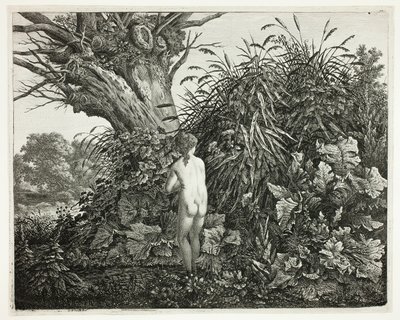 Bataklık Ormanında Peri by Carl Wilhelm Kolbe, the elder