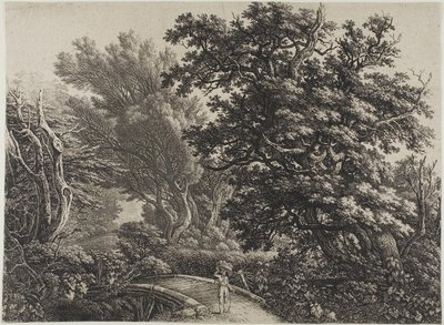Karışık Bir Ahşapta Rustik Köprü by Carl Wilhelm Kolbe, the elder