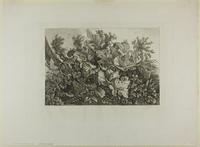 Bataklık Bitkileri by Carl Wilhelm Kolbe, the elder