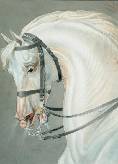 Tüfek atları için dizgin by Carle Vernet