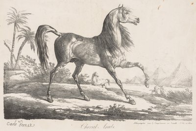 At Süiti: Arap Atı by Carle Vernet