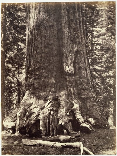 Boz Devin Üssü, Yosemite Kitabından: Yosemite Vadisi ve Sierra Nevada