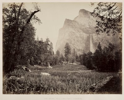 Gelin Peçe, Yosemite, c. 1865-1866. by Carleton E. Watkins