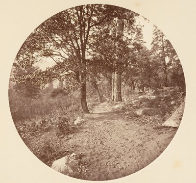 Yosemite Vadisi