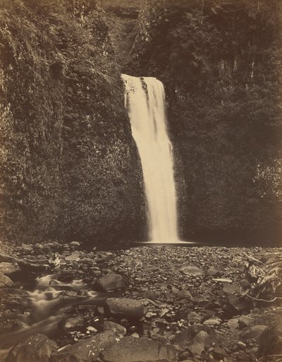 by Carleton Emmons Watkins