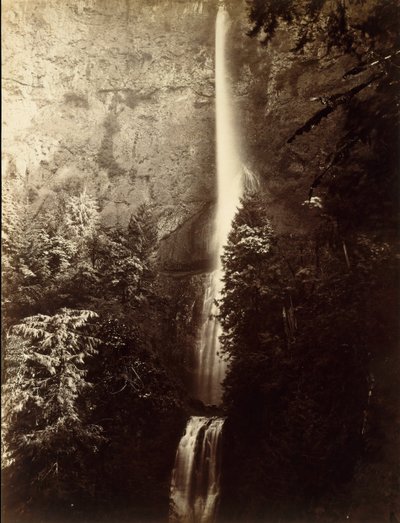 Multnomah Şelalesi Çağlayanı, Columbia Nehri, 1867. by Carleton Emmons Watkins