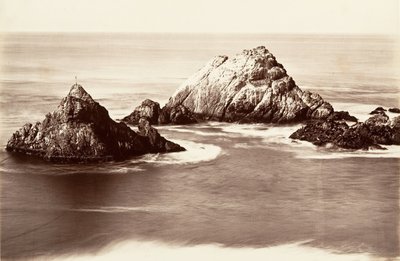 Seal Rocks, 1868-69, basılmış yaklaşık. 1876. by Carleton Emmons Watkins