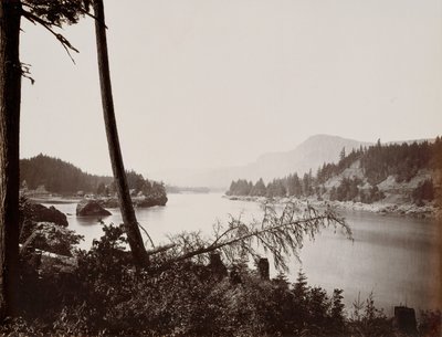 Columbia