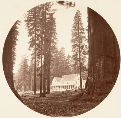 W.C. Bryant - Calaveras Korusu, yak. 1878. by Carleton Emmons Watkins