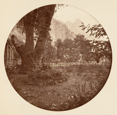 [Yosemite Ulusal Parkı, Kaliforniya], yak. 1878. by Carleton Emmons Watkins