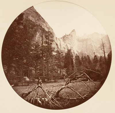 [Yosemite Ulusal Parkı, Kaliforniya], yak. 1878. by Carleton Emmons Watkins