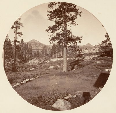 [Yosemite Ulusal Parkı, Kaliforniya], yak. 1878. by Carleton Emmons Watkins