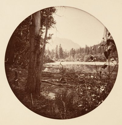 [Yosemite Ulusal Parkı, Kaliforniya], yak. 1878. by Carleton Emmons Watkins