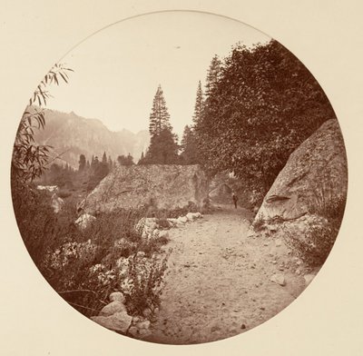 [Yosemite Ulusal Parkı, Kaliforniya], yak. 1878. by Carleton Emmons Watkins