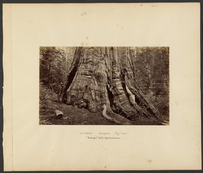  by Carleton Watkins