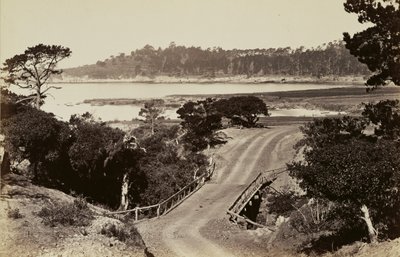 [Monterey yakınlarındaki sahil manzarası] by Carleton Watkins