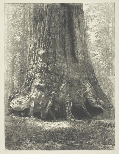  by Carleton Watkins