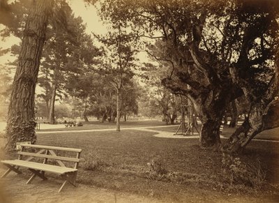 [Monterey, California. Hotel Del Monte, Lawn View]. by Carleton Watkins