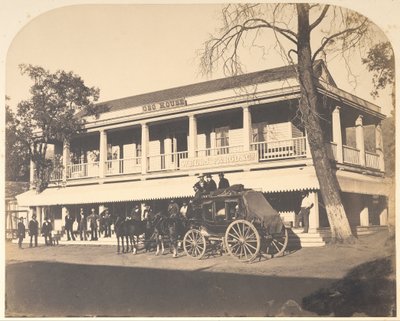 Oso Evi by Carleton Watkins