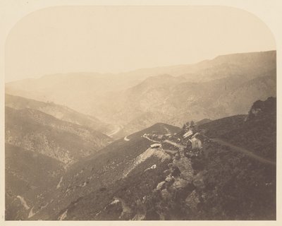 [Çam Ağacı Madeni] by Carleton Watkins