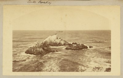 Seal Rocks. by Carleton Watkins