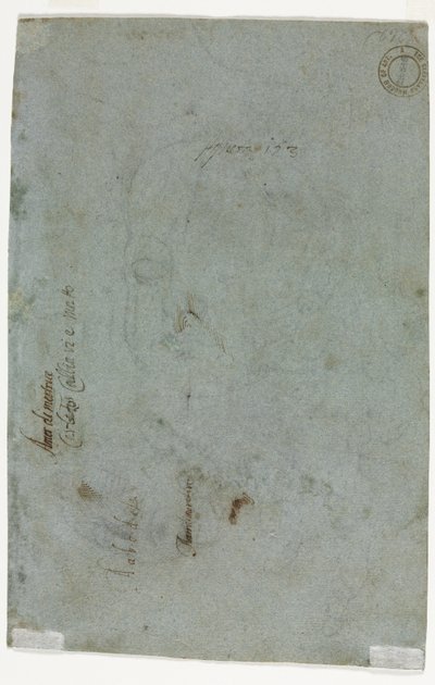 Bir Çocuğun Kafasının Kroki (verso) by Carletto Caliari