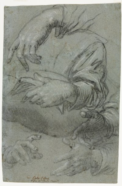 El Çalışmaları (rekto) by Carletto Caliari