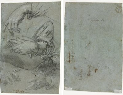 El Çalışmaları (rekto); Bir Çocuğun Kafasının Kroki (verso) by Carletto Caliari