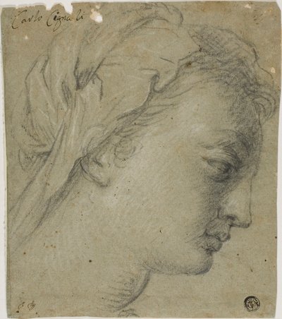 by Carlo Cignani
