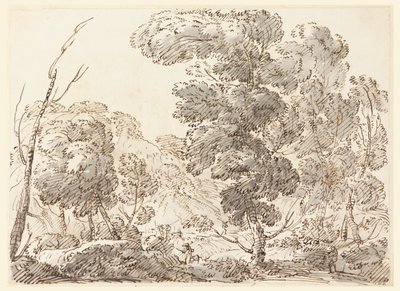 Dağlık Bir Ülkede Yol by Carlo Marchionni