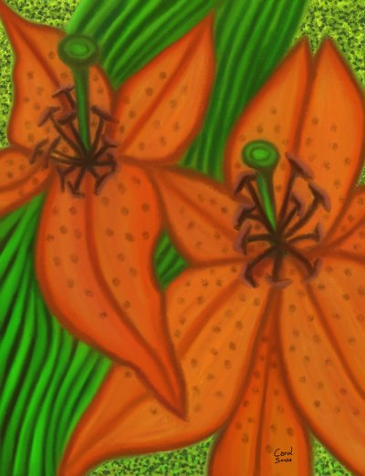 iki zambak by Carol Sousa Cuello