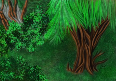 Bahçedeki köşe by Carol Sousa Cuello