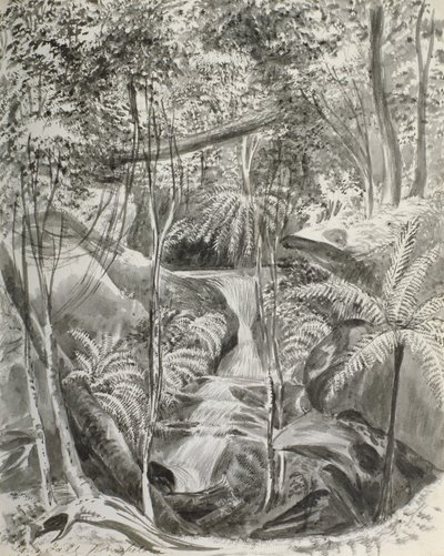 Orman Çalışması, 19. yüzyıl by Caroline Louisa Meredith