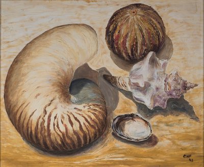 Deniz kabukları, 1993 (kağıt üzeri yağlı boya) by Carolyn Hubbard Ford