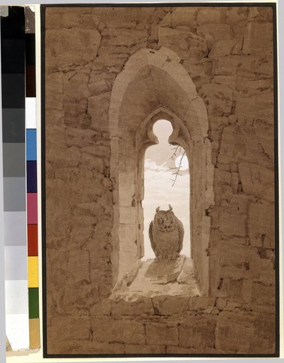 Gotik bir pencerede baykuş. Caspar David Friedrich (1774-1840), kağıt üzerinde kalem, fırça ve sepya eseri by Caspar David Friedrich