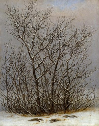 karda çalılar by Caspar David Friedrich