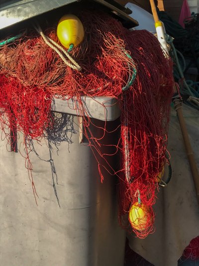 Kompozisyon - Nets, 2019 (fotoğraf) by Cécile Jamet