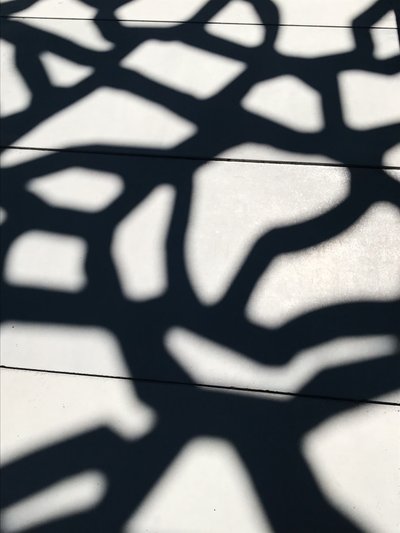  by Cécile Jamet