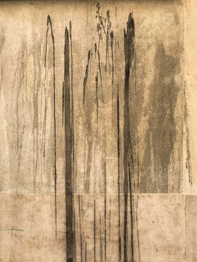  by Cécile Jamet