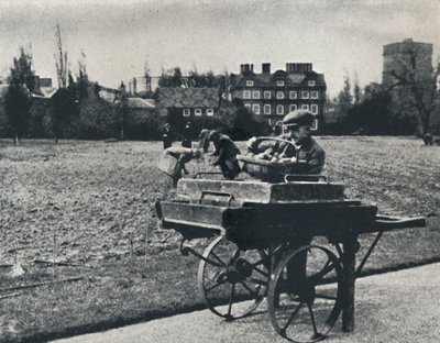 Kew Bahçelerinde Patates, 1941 by Cecil Beaton