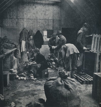 Pazar için sebzeler, 1941 by Cecil Beaton
