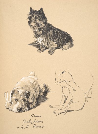 Cairn, Sealyham ve Bull Terrier, 1930, Sadece Arkadaşlar Arasında için kullanılan Eskiz Kitabından Çizimler, Aldin, Cecil Charles Windsor (1870-1935), daha sonra Eyre ve Spottiswoode Limited tarafından yayımlandı, 1934 by Cecil Charles Windsor Aldin