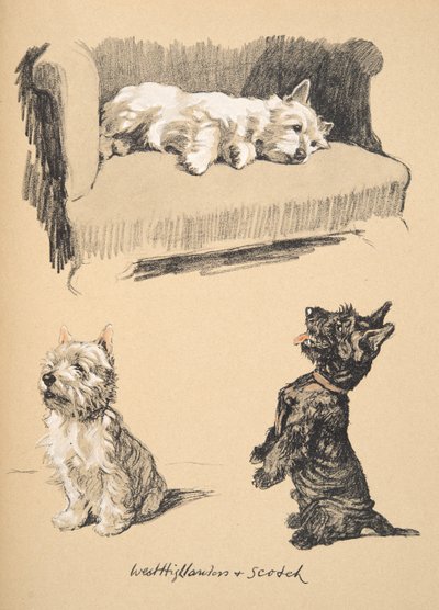 West Highlanders ve Scotch, 1930, Just Between Friends için kullanılan Sketch Book